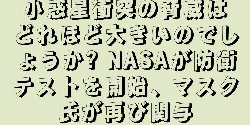 小惑星衝突の脅威はどれほど大きいのでしょうか? NASAが防衛テストを開始、マスク氏が再び関与
