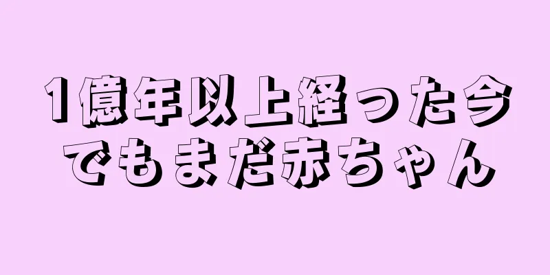 1億年以上経った今でもまだ赤ちゃん
