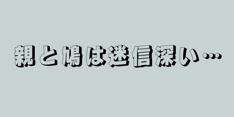 親と鳩は迷信深い…