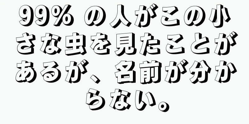 99% の人がこの小さな虫を見たことがあるが、名前が分からない。
