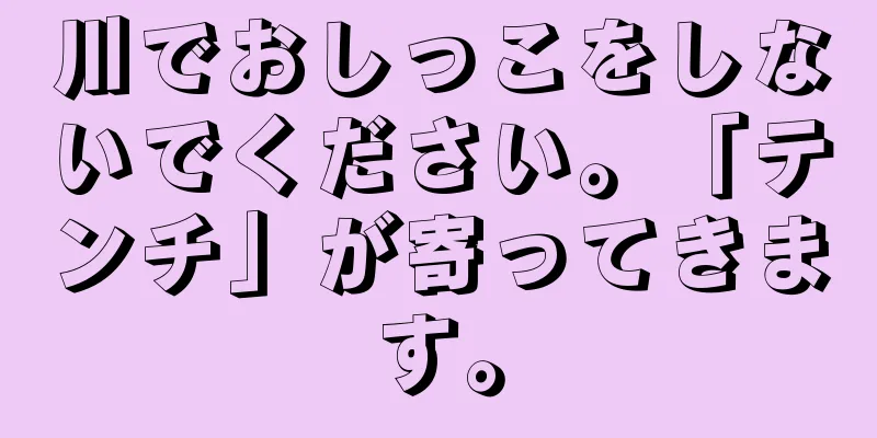 川でおしっこをしないでください。「テンチ」が寄ってきます。