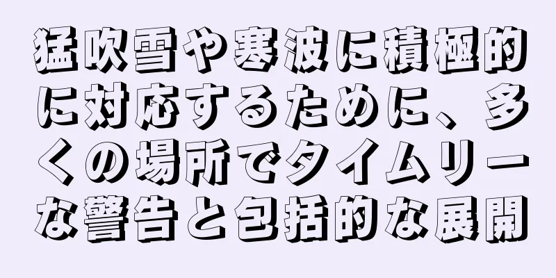 猛吹雪や寒波に積極的に対応するために、多くの場所でタイムリーな警告と包括的な展開