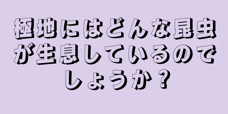 極地にはどんな昆虫が生息しているのでしょうか？