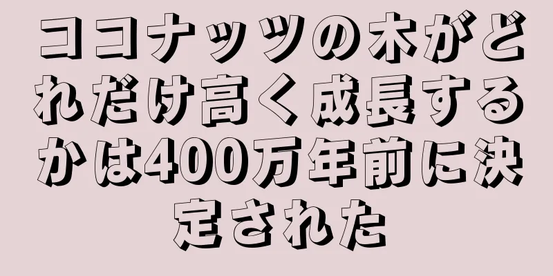 ココナッツの木がどれだけ高く成長するかは400万年前に決定された