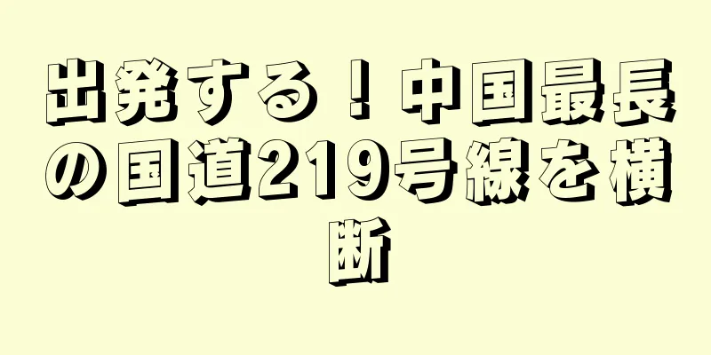 出発する！中国最長の国道219号線を横断