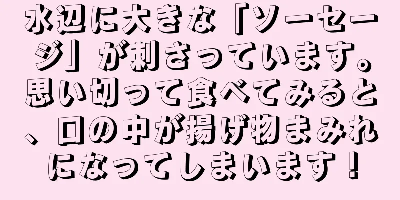 水辺に大きな「ソーセージ」が刺さっています。思い切って食べてみると、口の中が揚げ物まみれになってしまいます！