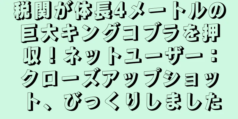税関が体長4メートルの巨大キングコブラを押収！ネットユーザー：クローズアップショット、びっくりしました