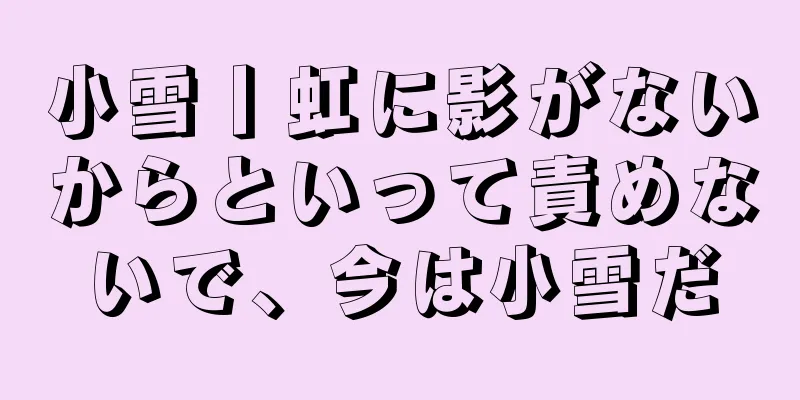 小雪丨虹に影がないからといって責めないで、今は小雪だ