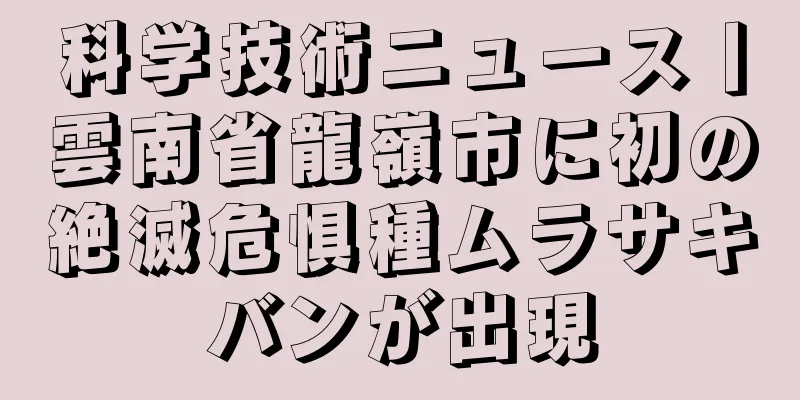 科学技術ニュース丨雲南省龍嶺市に初の絶滅危惧種ムラサキバンが出現