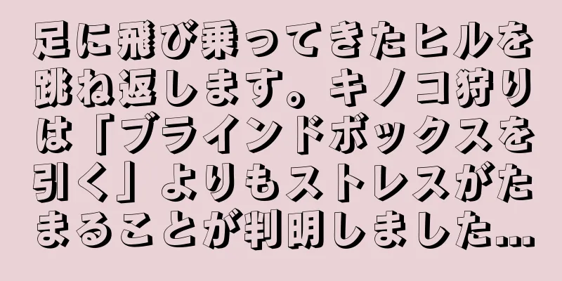 足に飛び乗ってきたヒルを跳ね返します。キノコ狩りは「ブラインドボックスを引く」よりもストレスがたまることが判明しました...