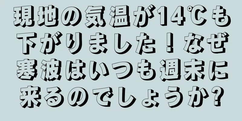 現地の気温が14℃も下がりました！なぜ寒波はいつも週末に来るのでしょうか?