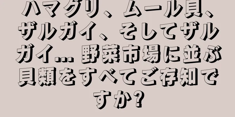 ハマグリ、ムール貝、ザルガイ、そしてザルガイ... 野菜市場に並ぶ貝類をすべてご存知ですか?