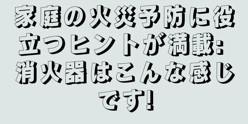 家庭の火災予防に役立つヒントが満載: 消火器はこんな感じです!