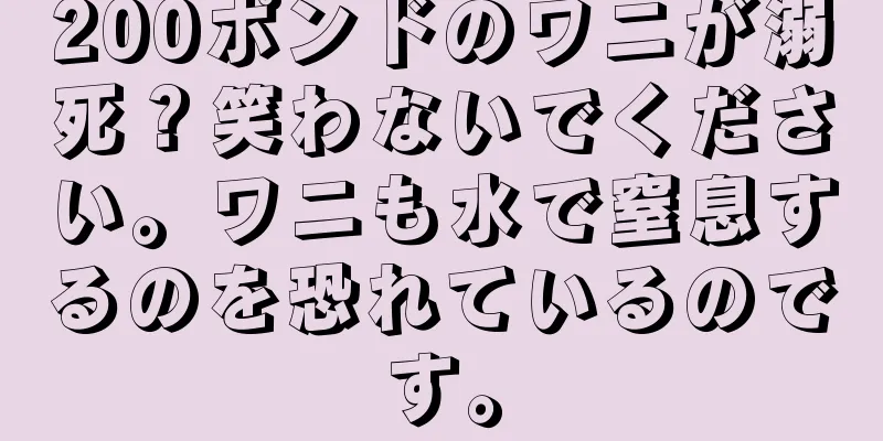 200ポンドのワニが溺死？笑わないでください。ワニも水で窒息するのを恐れているのです。