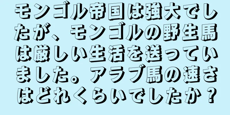 モンゴル帝国は強大でしたが、モンゴルの野生馬は厳しい生活を送っていました。アラブ馬の速さはどれくらいでしたか？