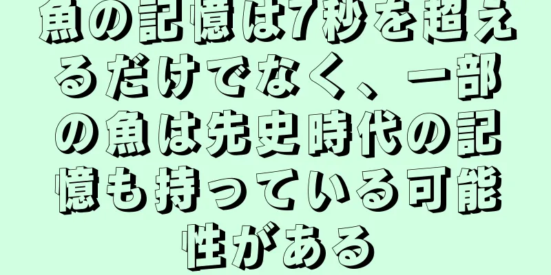 魚の記憶は7秒を超えるだけでなく、一部の魚は先史時代の記憶も持っている可能性がある