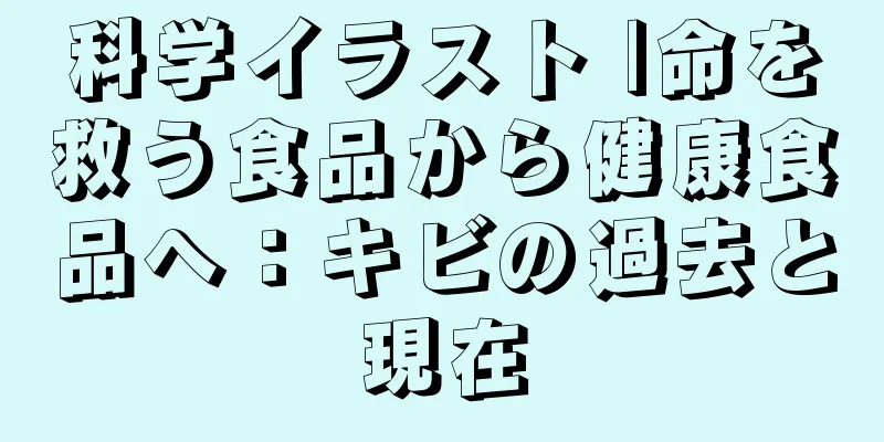 科学イラスト |命を救う食品から健康食品へ：キビの過去と現在