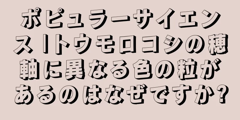 ポピュラーサイエンス |トウモロコシの穂軸に異なる色の粒があるのはなぜですか?