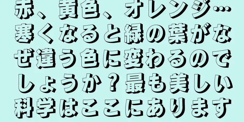 赤、黄色、オレンジ…寒くなると緑の葉がなぜ違う色に変わるのでしょうか？最も美しい科学はここにあります