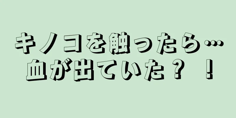 キノコを触ったら…血が出ていた？ ！