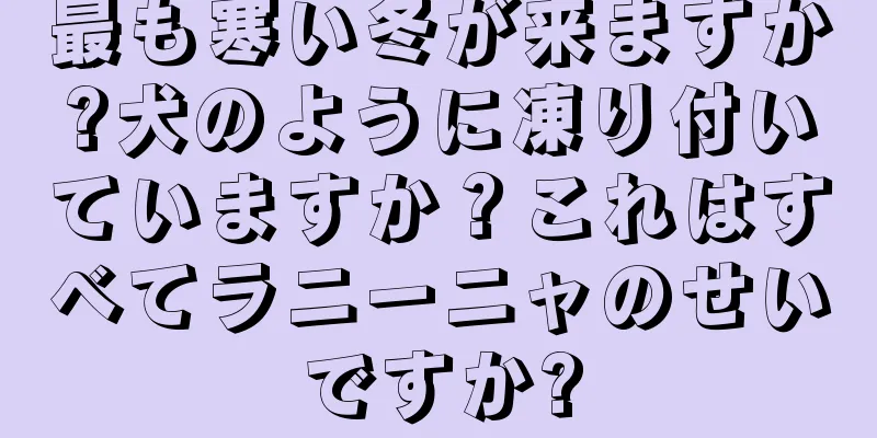 最も寒い冬が来ますか?犬のように凍り付いていますか？これはすべてラニーニャのせいですか?
