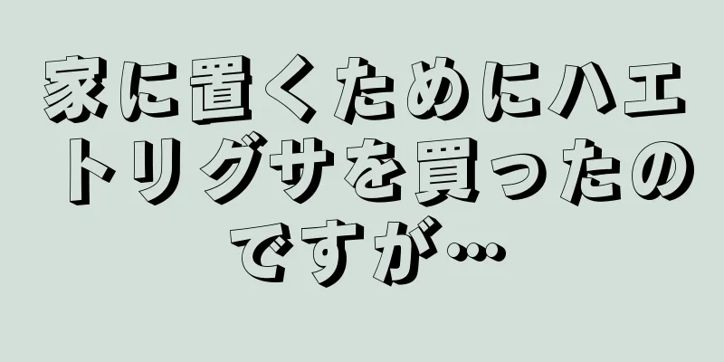家に置くためにハエトリグサを買ったのですが…