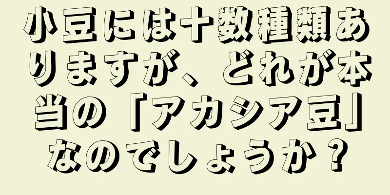 小豆には十数種類ありますが、どれが本当の「アカシア豆」なのでしょうか？
