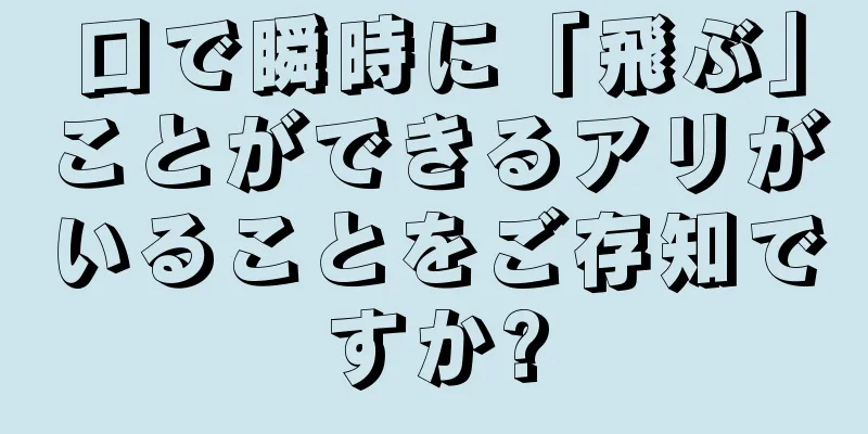 口で瞬時に「飛ぶ」ことができるアリがいることをご存知ですか?