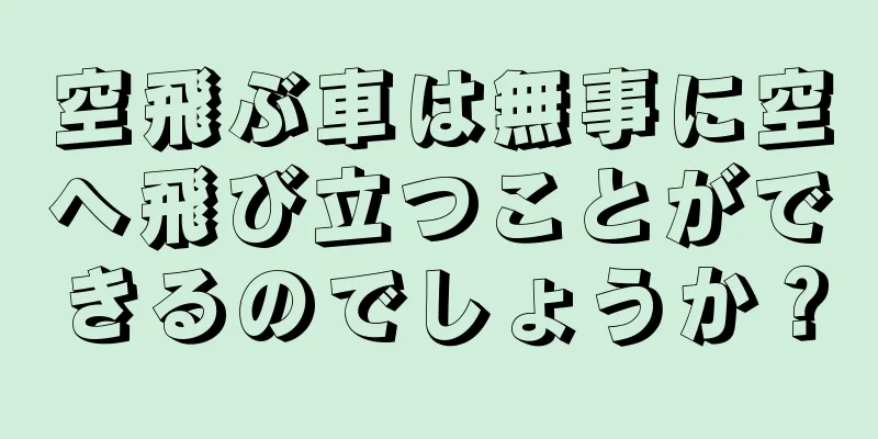 空飛ぶ車は無事に空へ飛び立つことができるのでしょうか？