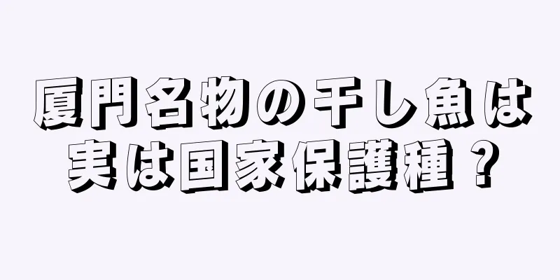 厦門名物の干し魚は実は国家保護種？