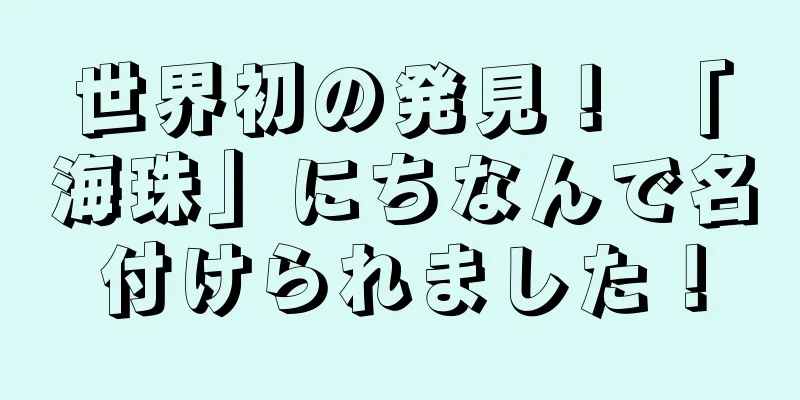 世界初の発見！ 「海珠」にちなんで名付けられました！