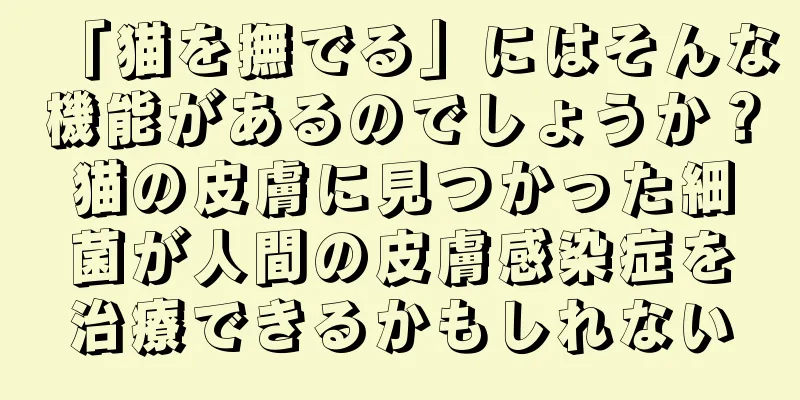 「猫を撫でる」にはそんな機能があるのでしょうか？猫の皮膚に見つかった細菌が人間の皮膚感染症を治療できるかもしれない