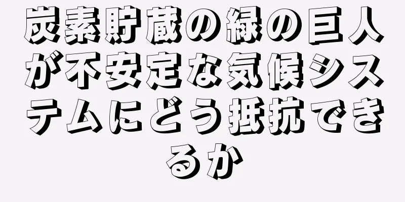 炭素貯蔵の緑の巨人が不安定な気候システムにどう抵抗できるか