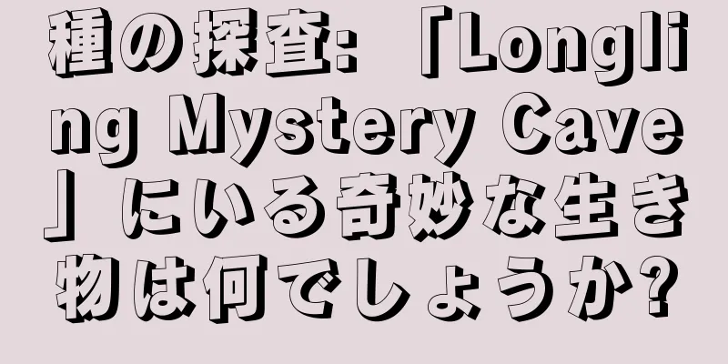 種の探査: 「Longling Mystery Cave」にいる奇妙な生き物は何でしょうか?