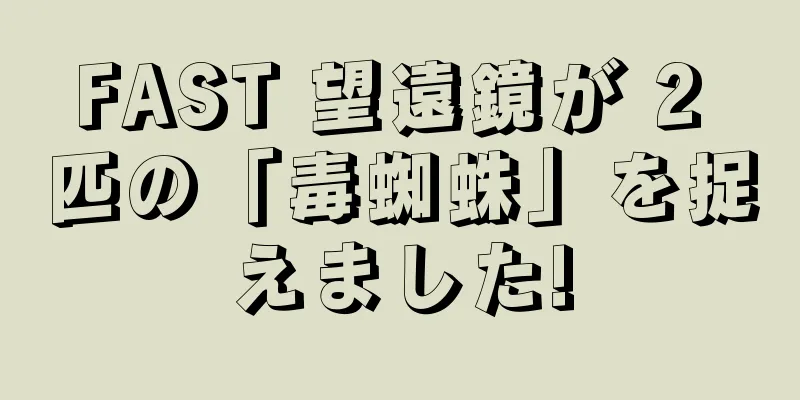 FAST 望遠鏡が 2 匹の「毒蜘蛛」を捉えました!