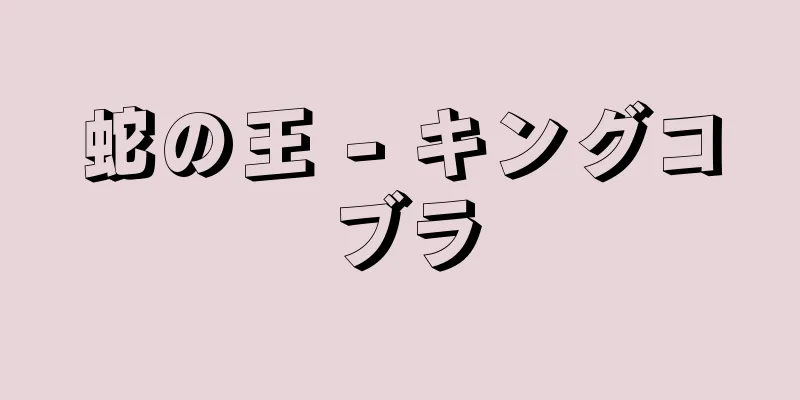 蛇の王 - キングコブラ