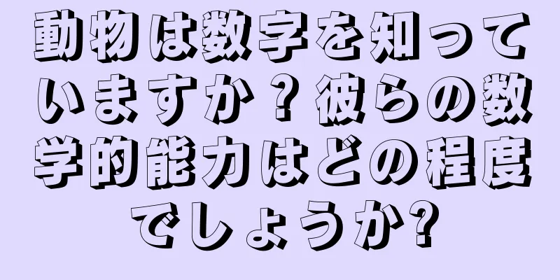 動物は数字を知っていますか？彼らの数学的能力はどの程度でしょうか?