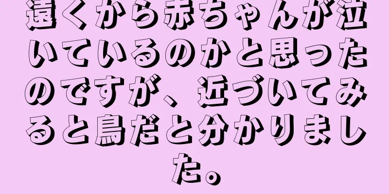 遠くから赤ちゃんが泣いているのかと思ったのですが、近づいてみると鳥だと分かりました。