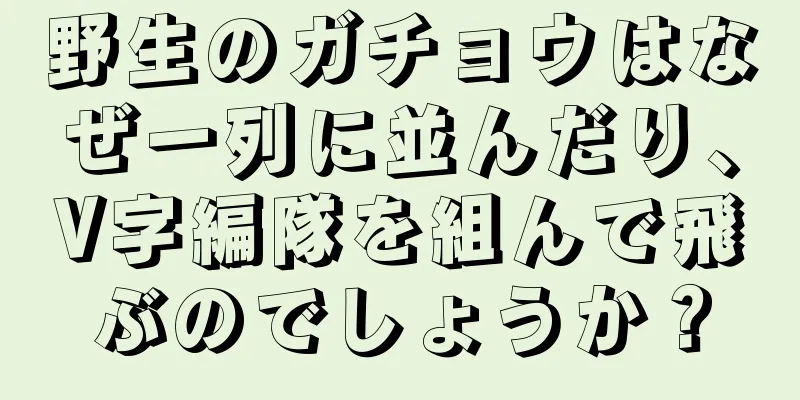 野生のガチョウはなぜ一列に並んだり、V字編隊を組んで飛ぶのでしょうか？