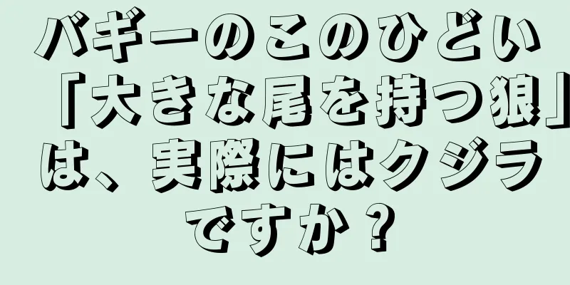 バギーのこのひどい「大きな尾を持つ狼」は、実際にはクジラですか？