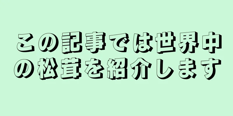 この記事では世界中の松茸を紹介します