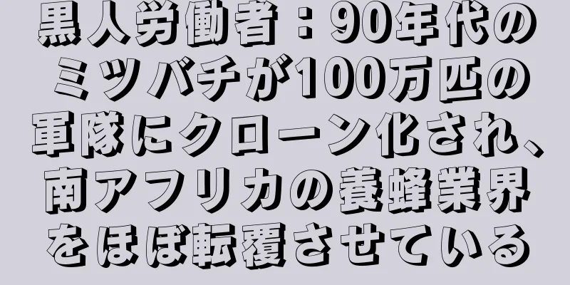 黒人労働者：90年代のミツバチが100万匹の軍隊にクローン化され、南アフリカの養蜂業界をほぼ転覆させている