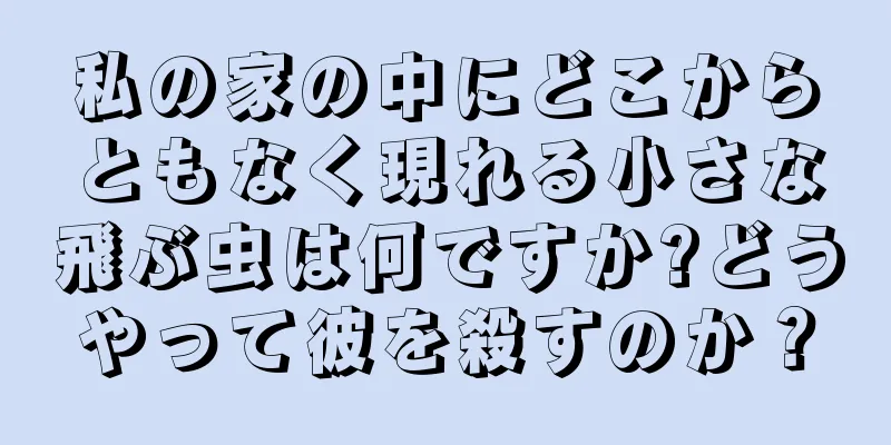 私の家の中にどこからともなく現れる小さな飛ぶ虫は何ですか?どうやって彼を殺すのか？