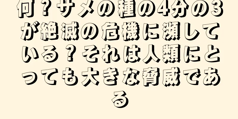 何？サメの種の4分の3が絶滅の危機に瀕している？それは人類にとっても大きな脅威である