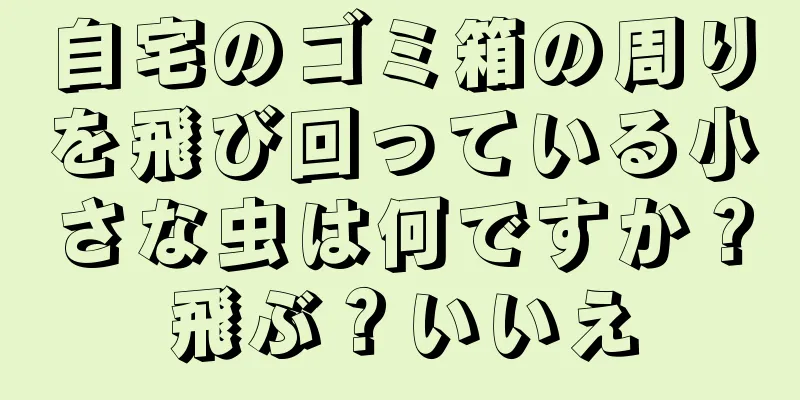 自宅のゴミ箱の周りを飛び回っている小さな虫は何ですか？飛ぶ？いいえ