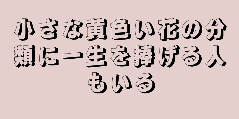 小さな黄色い花の分類に一生を捧げる人もいる
