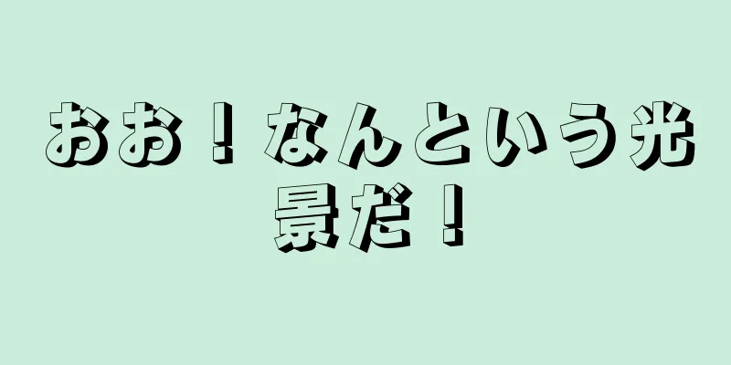 おお！なんという光景だ！