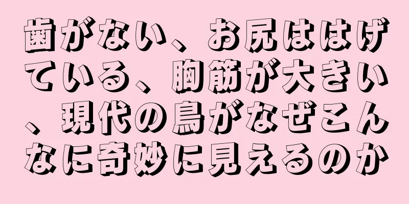 歯がない、お尻ははげている、胸筋が大きい、現代の鳥がなぜこんなに奇妙に見えるのか