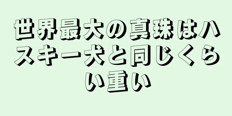 世界最大の真珠はハスキー犬と同じくらい重い