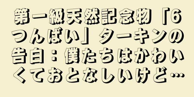 第一級天然記念物「6つんばい」ターキンの告白：僕たちはかわいくておとなしいけど…